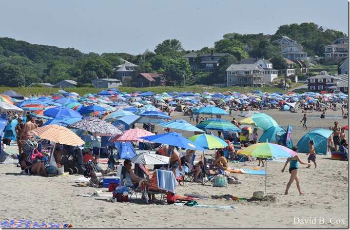 2019 7 20 Seacoast 10 K & Misc 164