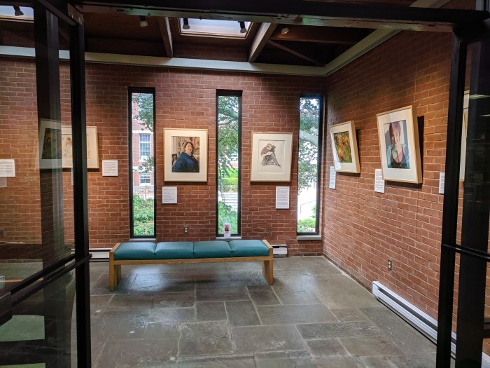 AMY KERR solo exhibition_I am More_Matz Gallery_Sawyer Free Public Library installatino views20190723_©c ryan (1)