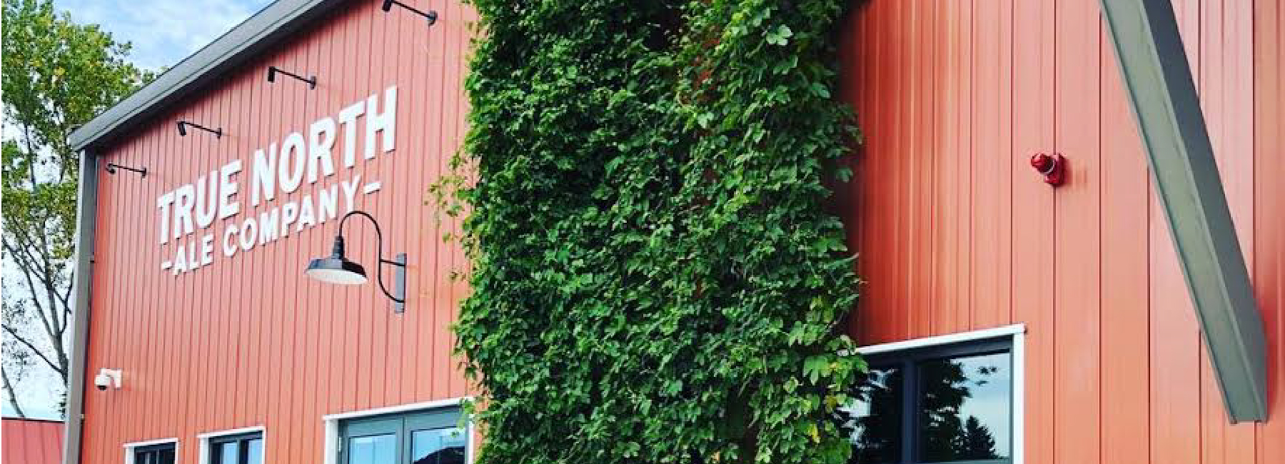 bids budgets beer-100.jpg