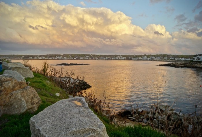 Sue Bonior After the rain