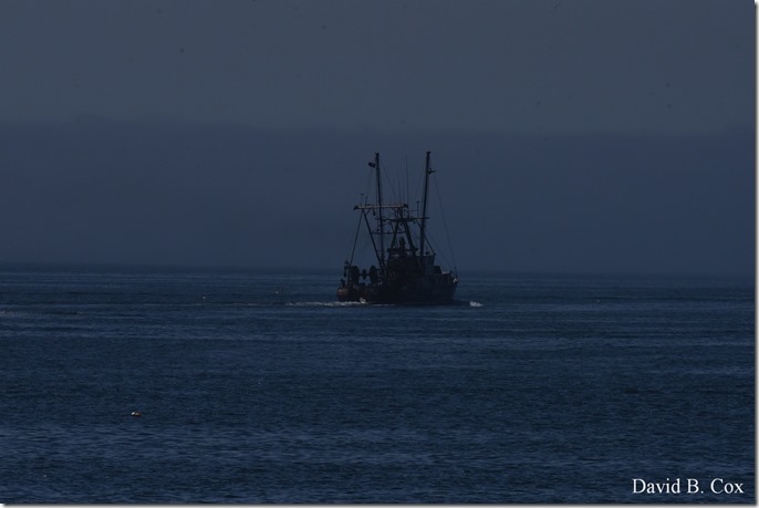 20019 6 28 Fiesta Thurs & Fog 120