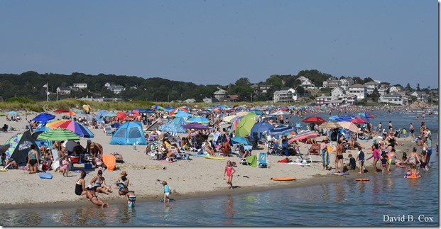 2019 8 21 David Family & GH Bch & Misc 010