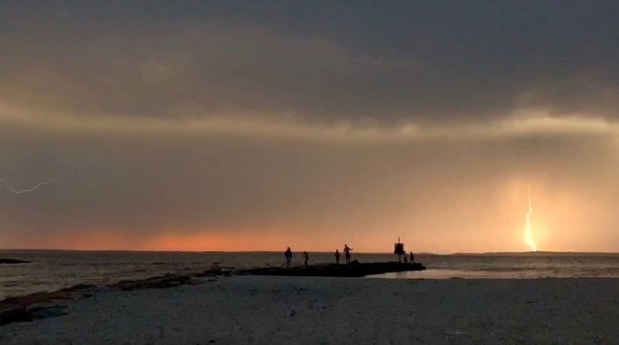 Screen Shot 2019-08-19 at 11.22.10 PM