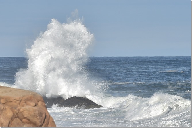 2019 9 08 Harbor & Bk Shore Surf 083