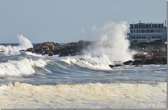 2019 9 08 Harbor & Bk Shore Surf 095