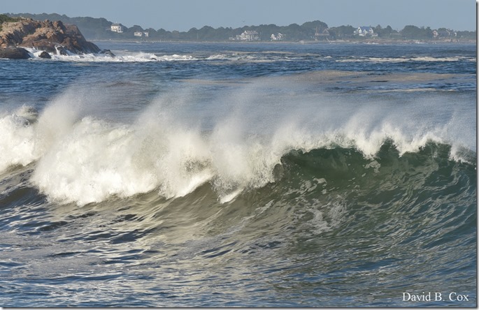 2019 9 08 Harbor & Bk Shore Surf 100