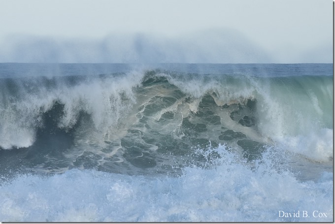 2019 9 08 Harbor & Bk Shore Surf 118