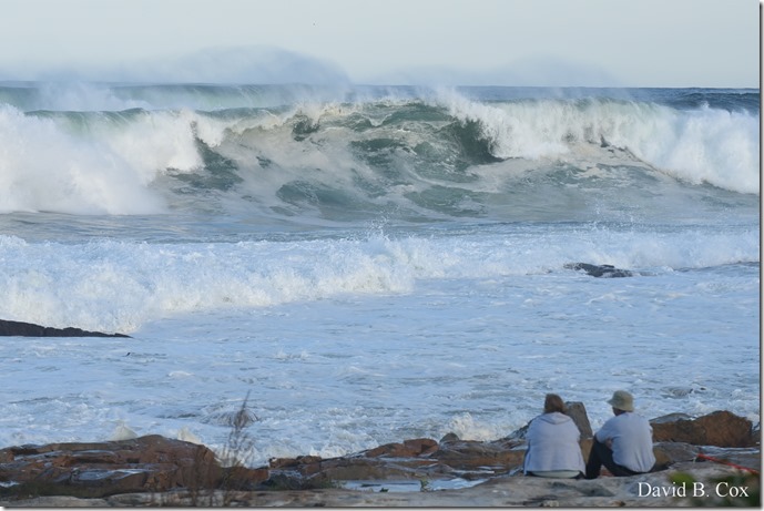 2019 9 08 Harbor & Bk Shore Surf 125