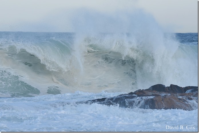 2019 9 08 Harbor & Bk Shore Surf 127