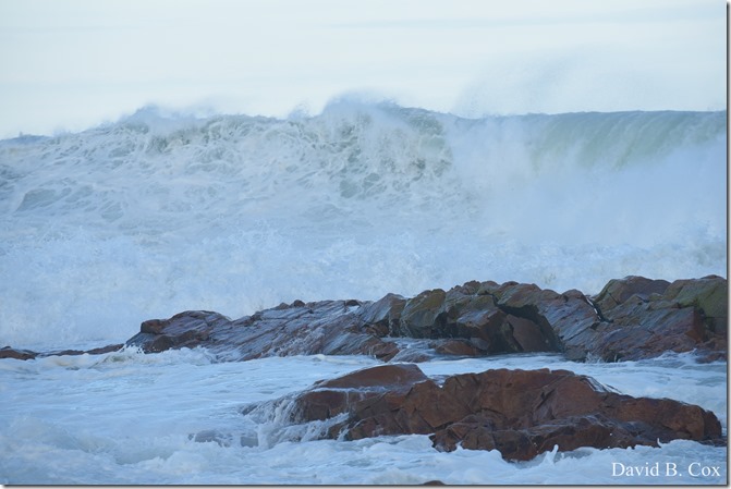 2019 9 08 Harbor & Bk Shore Surf 133