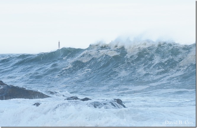 2019 9 08 Harbor & Bk Shore Surf 149