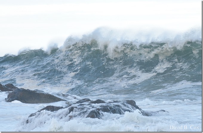 2019 9 08 Harbor & Bk Shore Surf 151