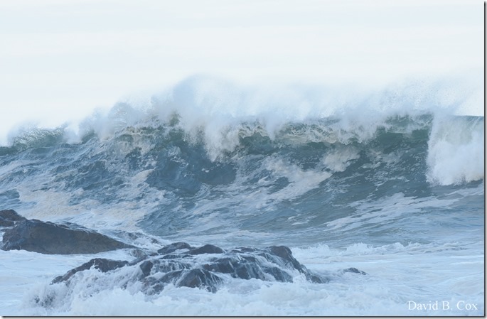 2019 9 08 Harbor & Bk Shore Surf 152