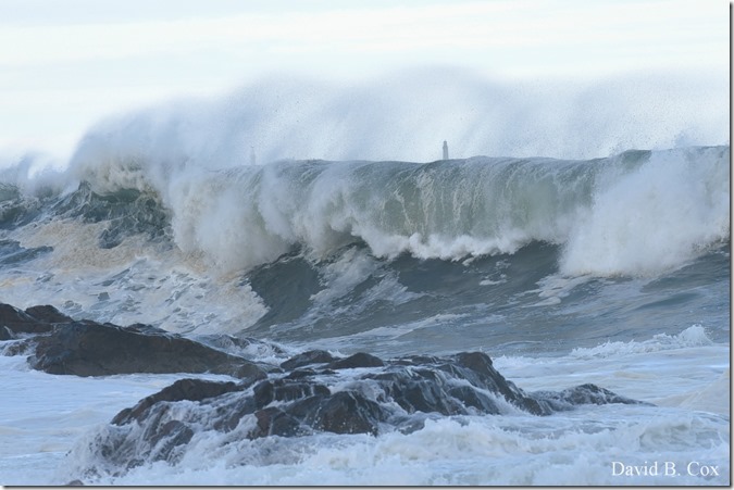 2019 9 08 Harbor & Bk Shore Surf 155