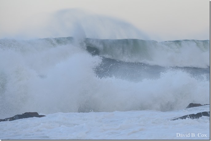 2019 9 08 Harbor & Bk Shore Surf 183