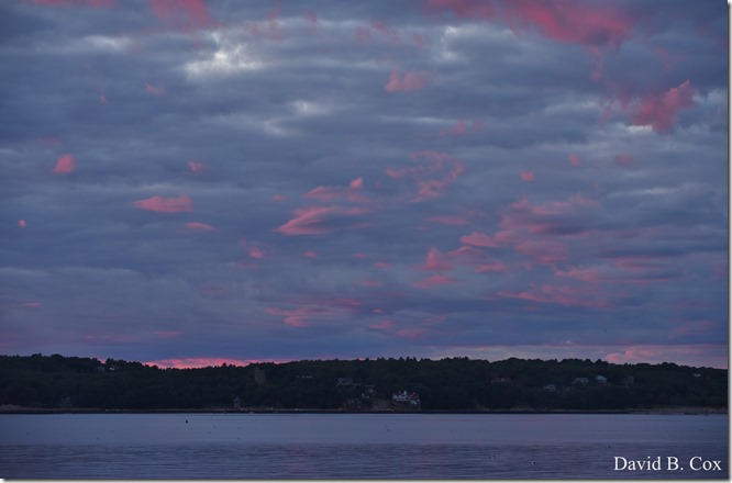 2019 9 18 Monarchs & Blvd Flowers&Scooners 031