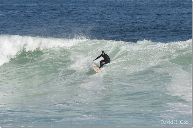 2019 9 23 Surf-Surfers-Effects-Blvd-Monarchs 010