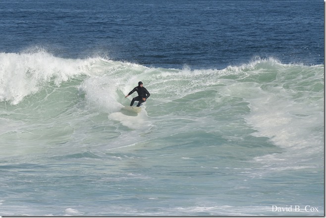 2019 9 23 Surf-Surfers-Effects-Blvd-Monarchs 012