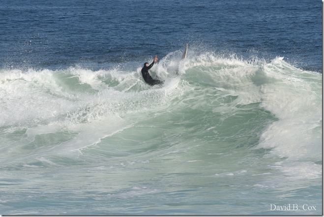 2019 9 23 Surf-Surfers-Effects-Blvd-Monarchs 014