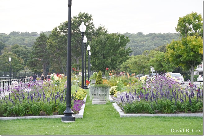 2019 9 23 Surf-Surfers-Effects-Blvd-Monarchs 091