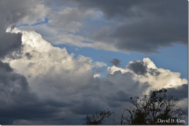 2019 9 26 Misc Blvd Effects 002