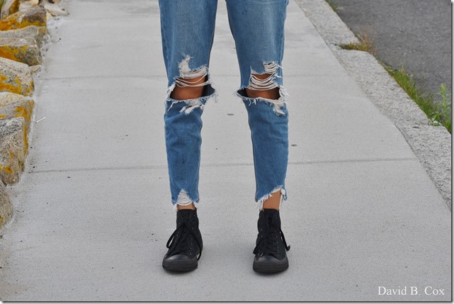 2019 9 26 Misc Blvd Effects 003