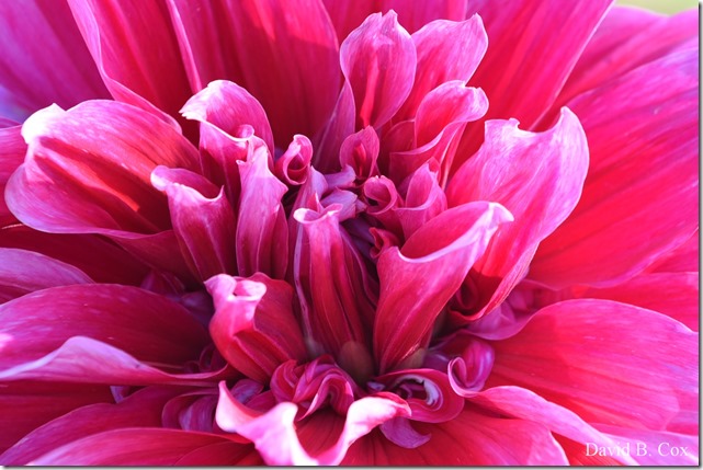 2019 9 26 Misc Blvd Effects 019