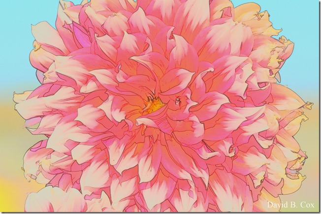 2019 9 26 Misc Blvd Effects 023