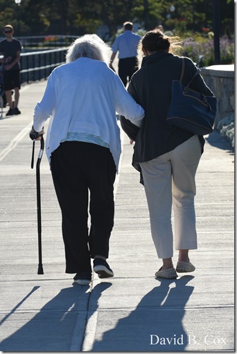 2019 9 26 Misc Blvd Effects 036