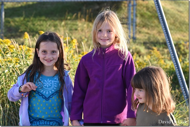 2019 9 26 Misc Blvd Effects 037