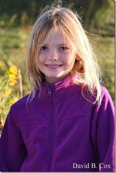 2019 9 26 Misc Blvd Effects 038