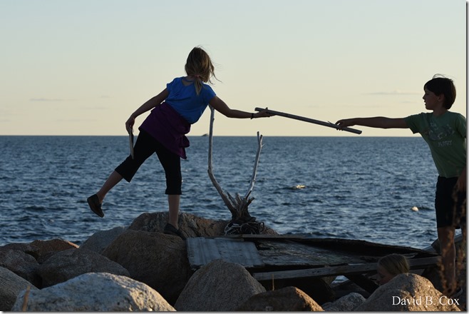 2019 9 26 Misc Blvd Effects 054