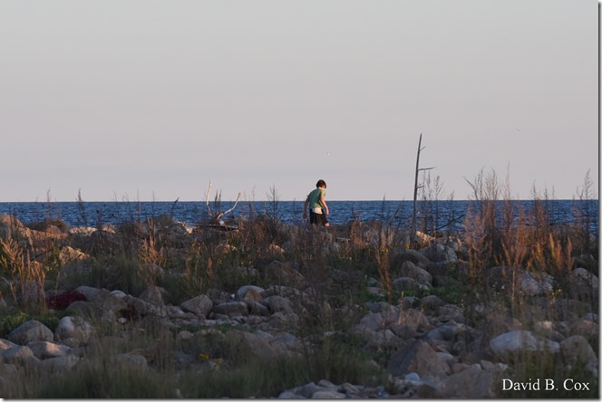 2019 9 26 Misc Blvd Effects 063