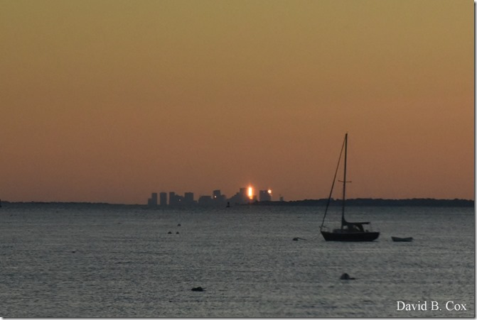 2019 9 26 Misc Blvd Effects 069