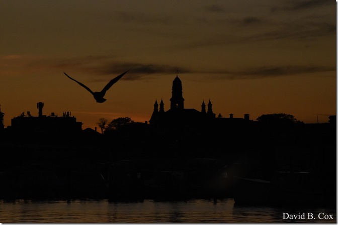 2019 9 26 Misc Blvd Effects 072