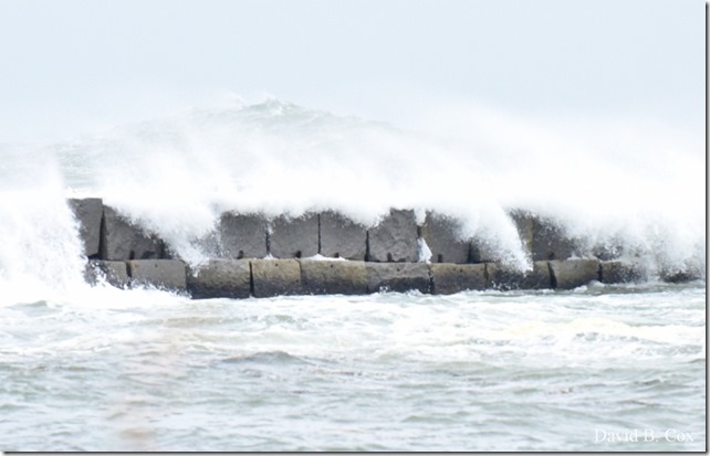 2019 10 11 Boston & Storm Surf 020