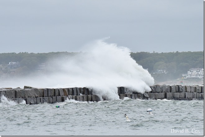 2019 10 11 Boston & Storm Surf 066