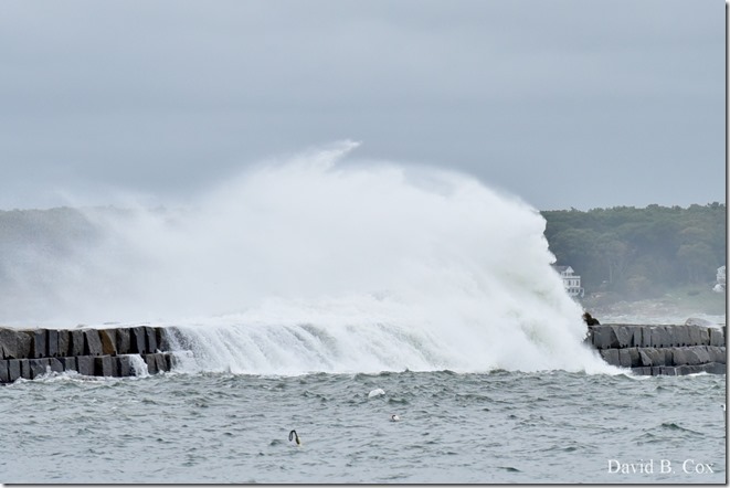 2019 10 11 Boston & Storm Surf 067