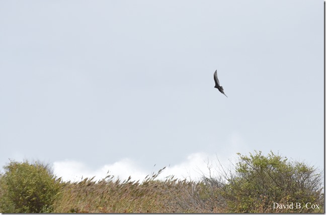 2019 10 11 Boston & Storm Surf 068
