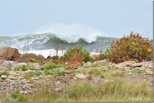 2019 10 11 Boston & Storm Surf 079