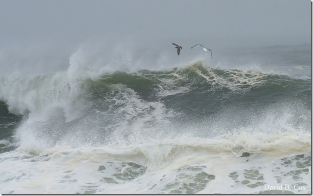 2019 10 12 Storm Surf & Blvd 016