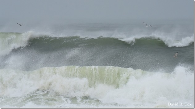 2019 10 12 Storm Surf & Blvd 020