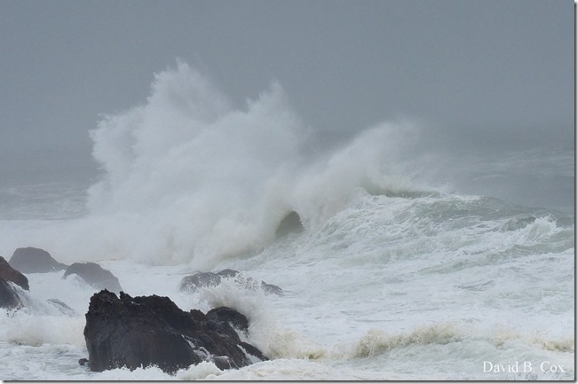 2019 10 12 Storm Surf & Blvd 036