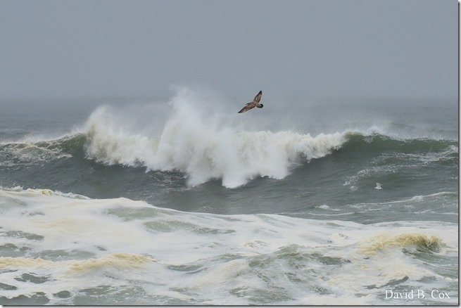 2019 10 12 Storm Surf & Blvd 040