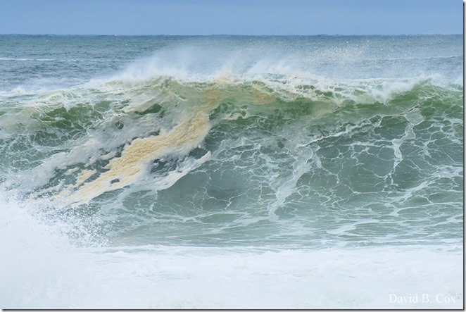 2019 10 12 Storm Surf & Blvd 105