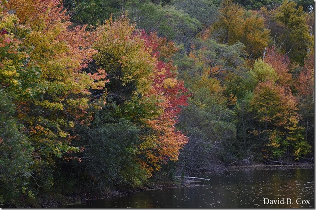 2019 10 16 Misl & Rkpt Farm & Pond 077