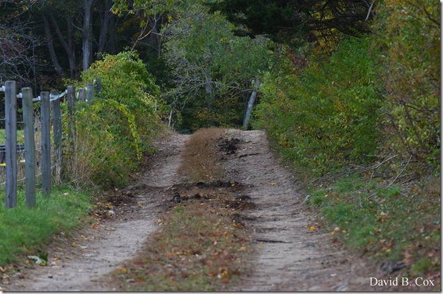 2019 10 16 Misl & Rkpt Farm & Pond 086