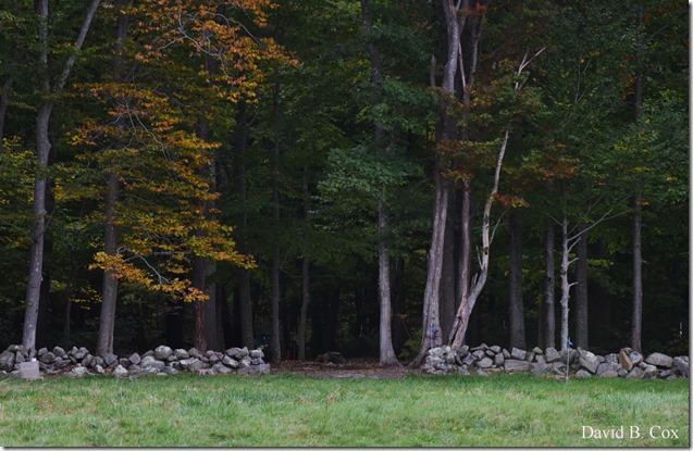 2019 10 16 Misl & Rkpt Farm & Pond 095