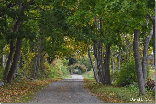 2019 10 16 Misl & Rkpt Farm & Pond 128