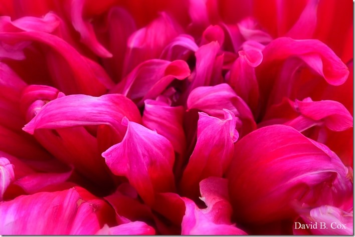 2019 10 7 Blvd & Misc 013